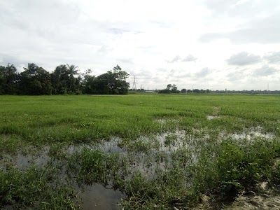Photos of Soto Darikandi