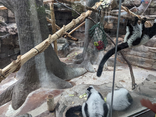 Primate House - Visual