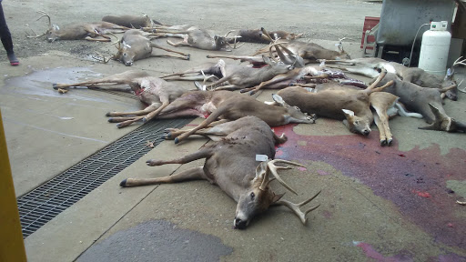 Vaughts Deer Processing - Visual
