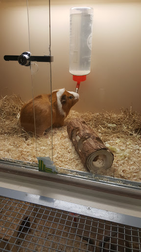 Pets at Home Merry Hill - Thumbnail