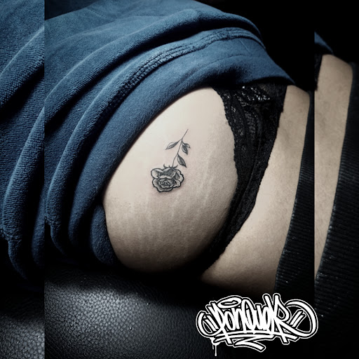 Ink Borrable - Visual