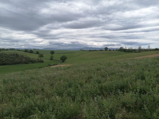 Domaine Demol - Thumbnail