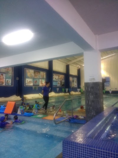 Photos of Aquatic Center