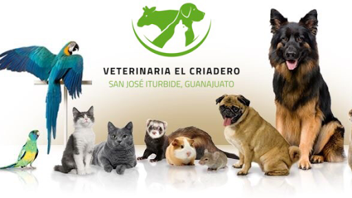 Clínica Veterinaria "El Criadero"