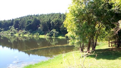Photos of Hombe Dam