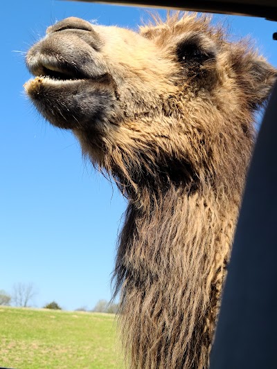 Tennessee Safari Park