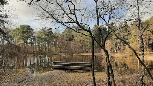 Möhlenbült - Thumbnail
