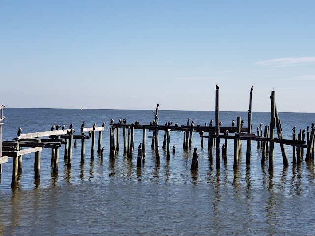 Cedar Key Fishing Pier