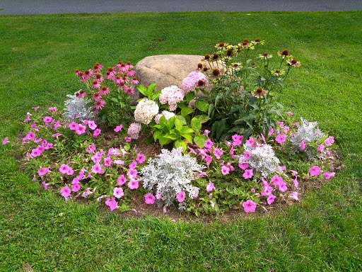 Peace Park - Thumbnail