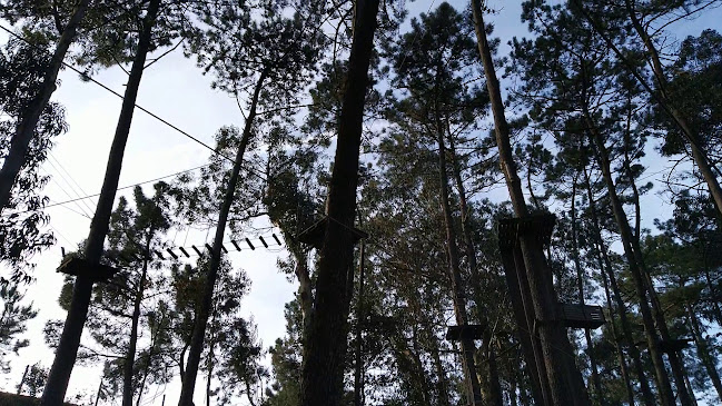 Azurara Parque Aventura Horário de abertura