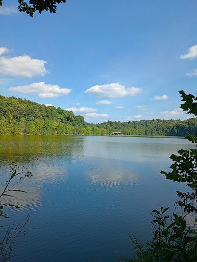 Salt Fork State Park - Thumbnail