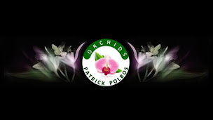 Photo n°8 de Patrick POLBOS Orchids à Sinceny (Fleuriste)