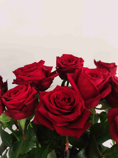 Fiori e piante Di Intermaggio Antonino - Thumbnail