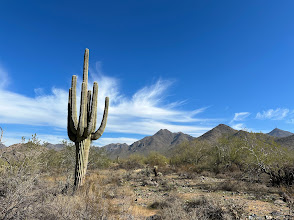  Scottsdale