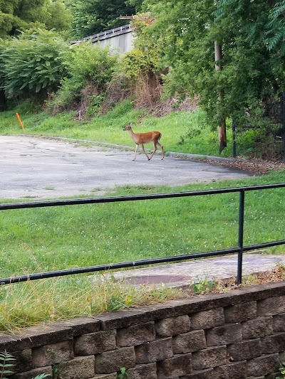 Longfellow Nature Trail