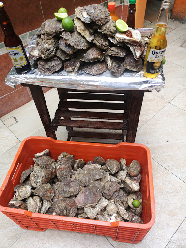 site_photo2