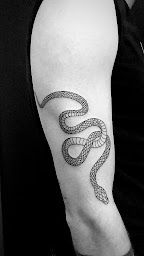 Photo n°17 de Snake Tattoo à Royan (Tatoueur)