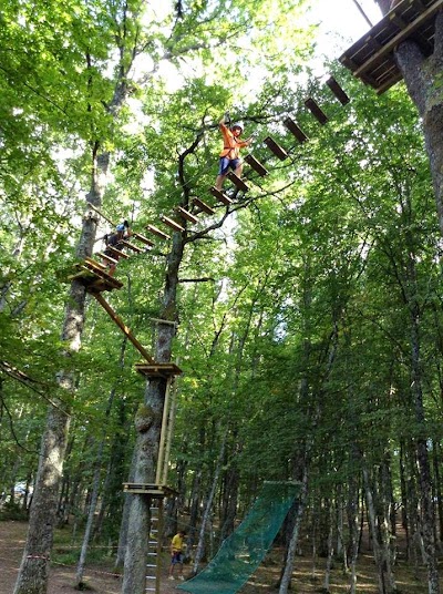 Photos of CARPEGNA PARK ADVENTURE PARK TRACK BOB Romagna brands
