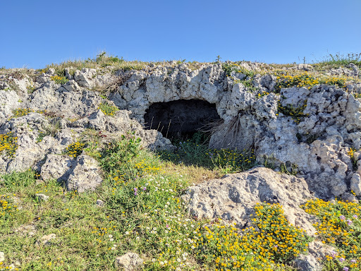 Necropoli di Thapsos Logo