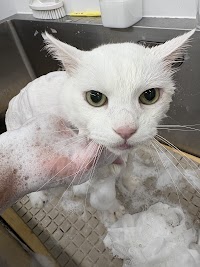 クイーンズスパ