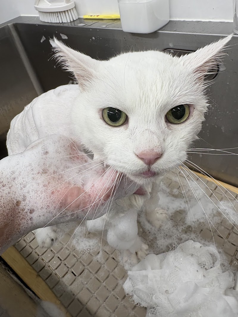 クイーンズスパ