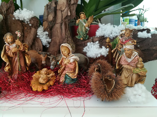 Puligrappa Di Cuccarolo Maria Loretta - Thumbnail