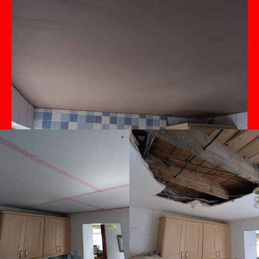 Wolf Plastering - Thumbnail