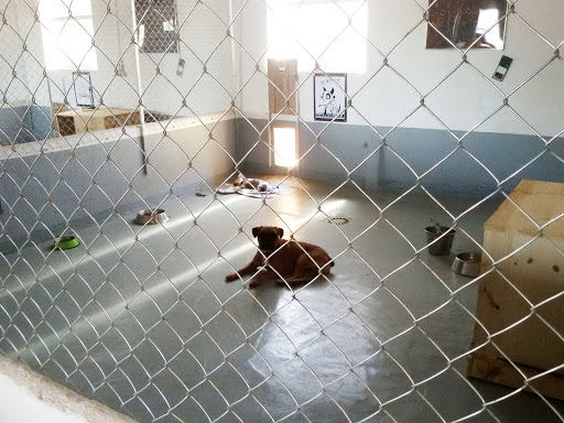 Hotel Rural Canino La Cadiera - Thumbnail