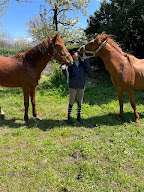 Au pré discis à Romagne