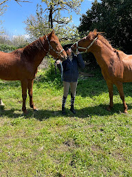 Photo n°1 de Au pré discis à Romagne (Centre de randonnée équestre)
