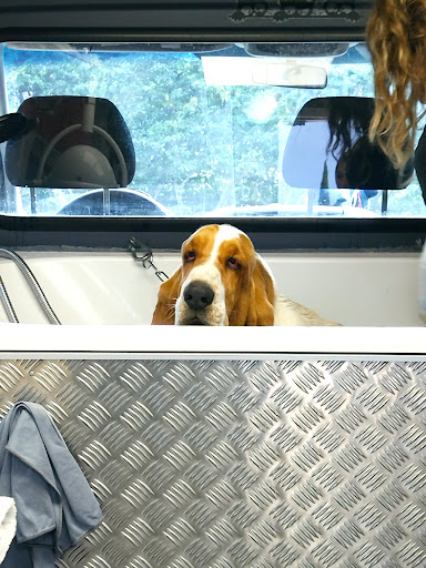 BeautyDog Toilettage à Domicile - Thumbnail