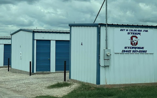 Steer Storage - Visual