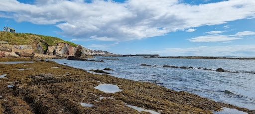 Pittenweem crazy golf Gallery - United Kingdom