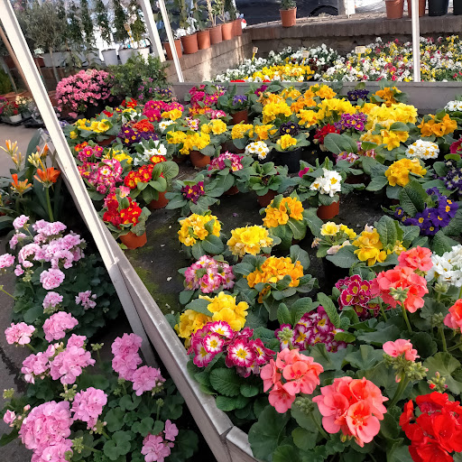 Garden Nervi Crovetto - Thumbnail