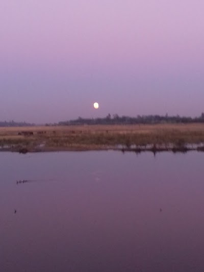 Photos of নূরানী মাদ্রাসা মসজিদ