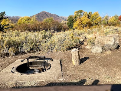 Pine Creek Campground Cottonwood Loop