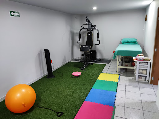FISIOTERAPIA TOLUCA