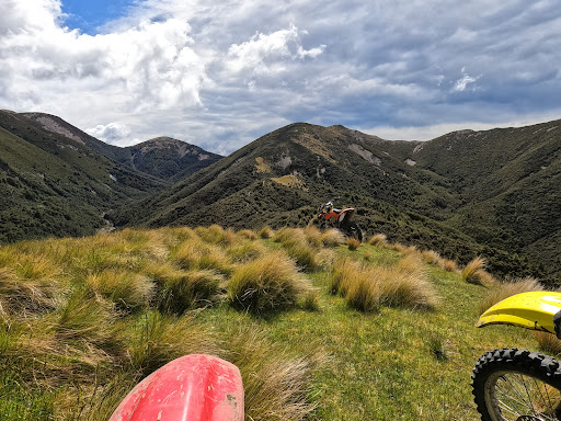 Adventure Trail Ride - Thumbnail