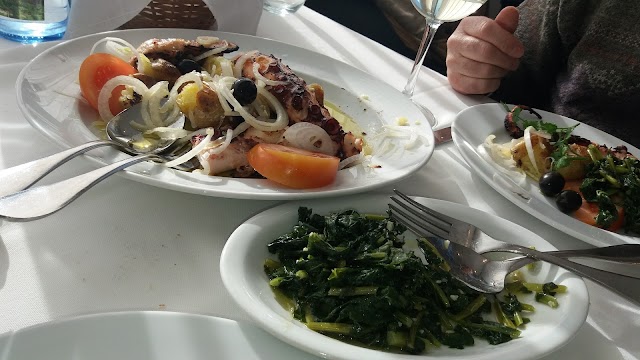 Camelo Apúlia