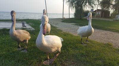 Photos of Lido Beach Gyenes