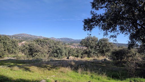 El Coto De Las Suertes