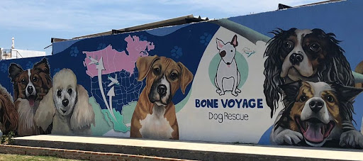 Bone Voyage Dog Rescue