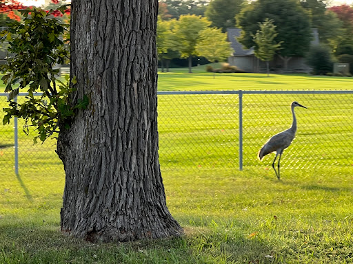 Ottawa Town Park - Thumbnail