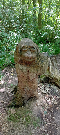 Wood Monkey - Visual