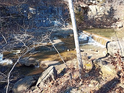 Bee Run Waterfall #1