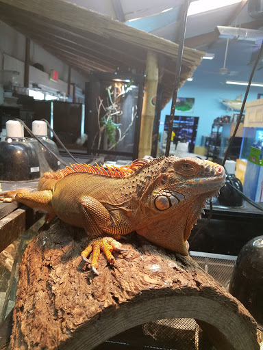 Aquatic N Exotic Inc. - Thumbnail