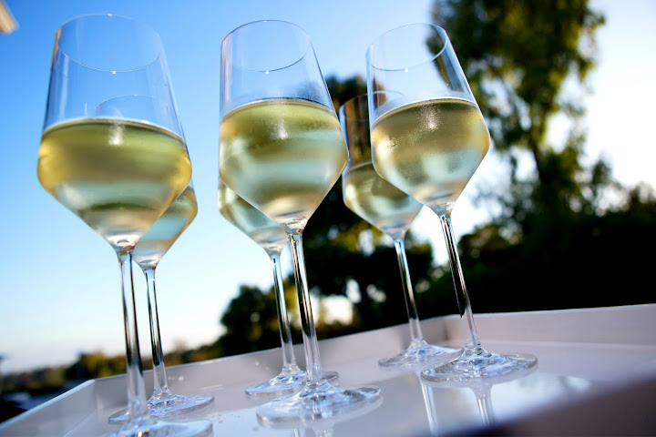 Serves You Right! Catering by null