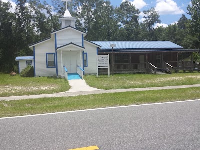 Photos of Apalachicola National Forest