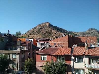 Photos of Grand Arı Hotel