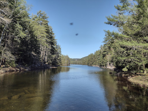 Pharaoh Lake Wilderness Area - Thumbnail